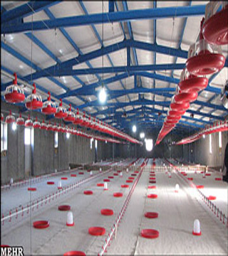 تجهیزات سالن های مرغ تخم گذار